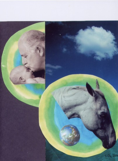 Collage of heads. Horse head, Man's head and baby's head.